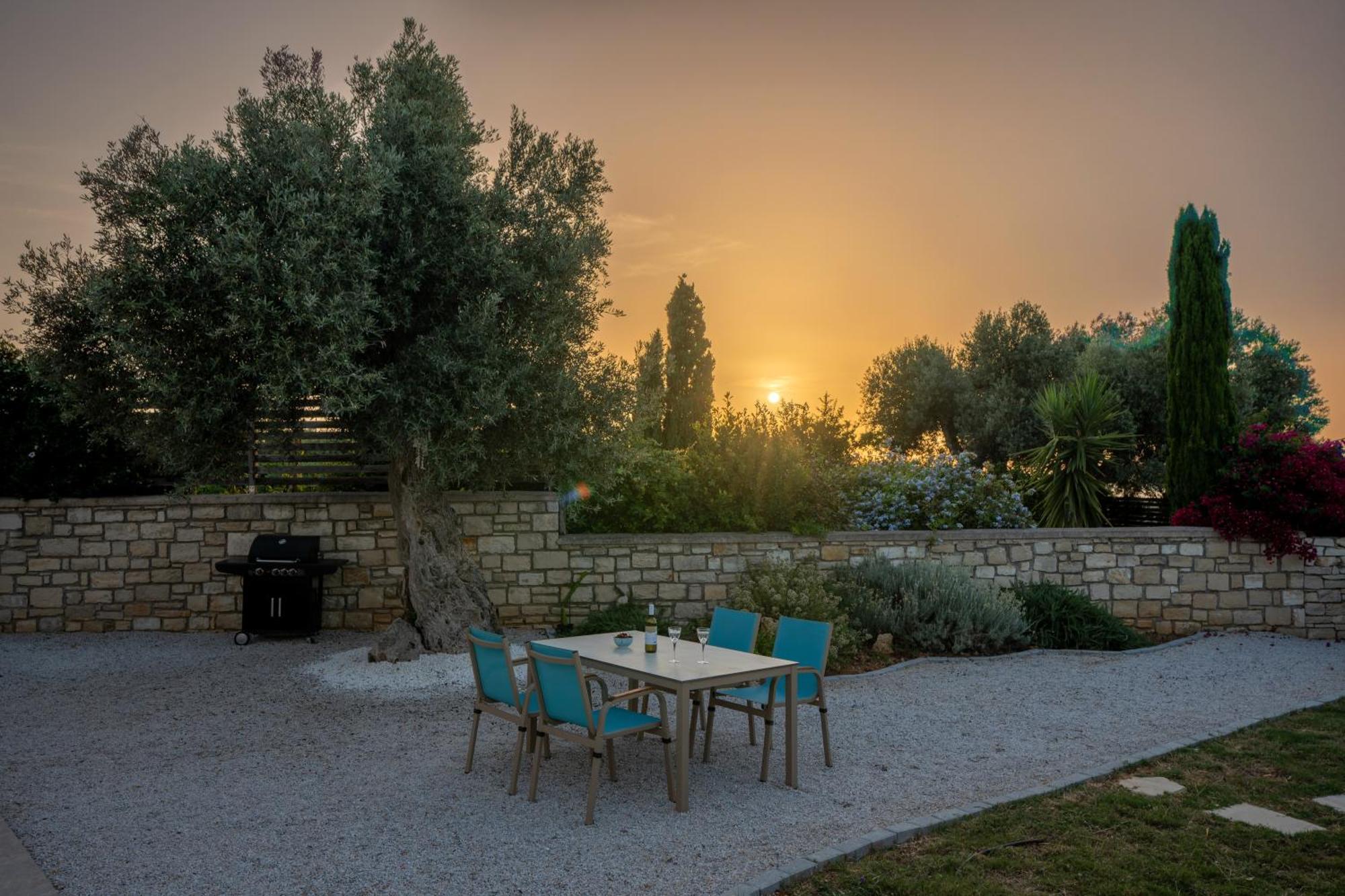 Villa Vasiliki Private Pool Erfoi Esterno foto
